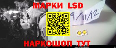 шишки Кимры