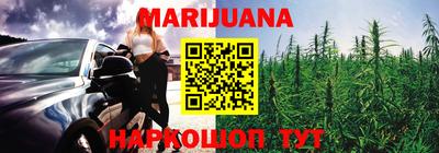 шишки Кимры