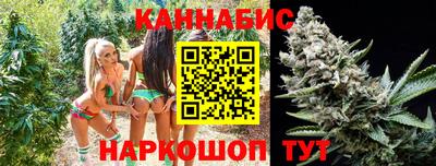 шишки Кимры