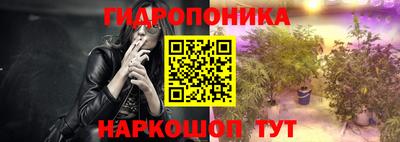 шишки Кимры