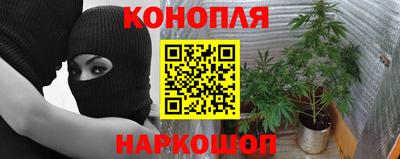прущая мука Кинель