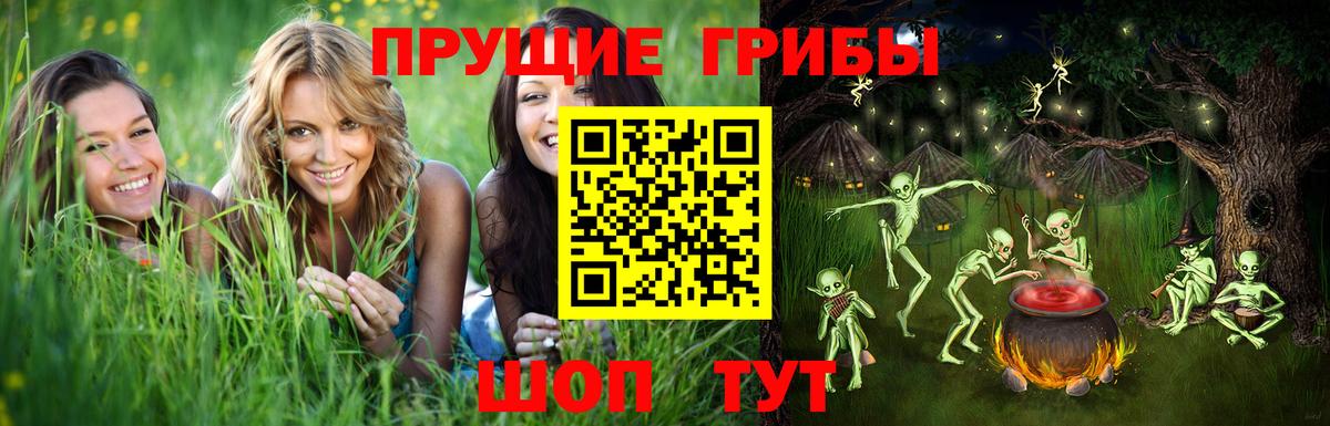 Псилоцибиновые грибы Psilocybine cubensis Кудрово